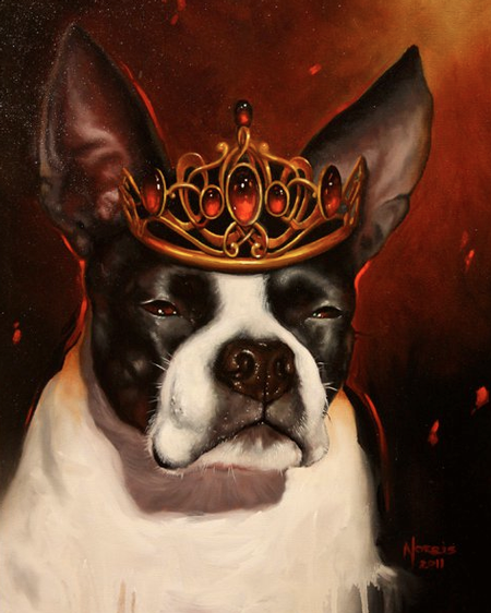 Art Galleries - dog portrait - 58287